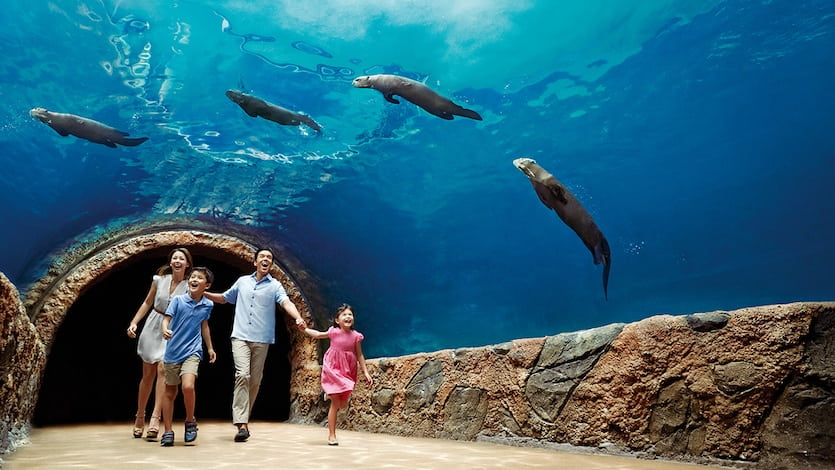 Top Mandai Wildlife Reserve Attractions River Wonders