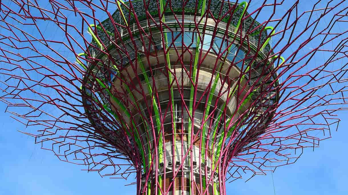 Must-Visit Gardens By The Bay Attractions Iconic Supertree Grove