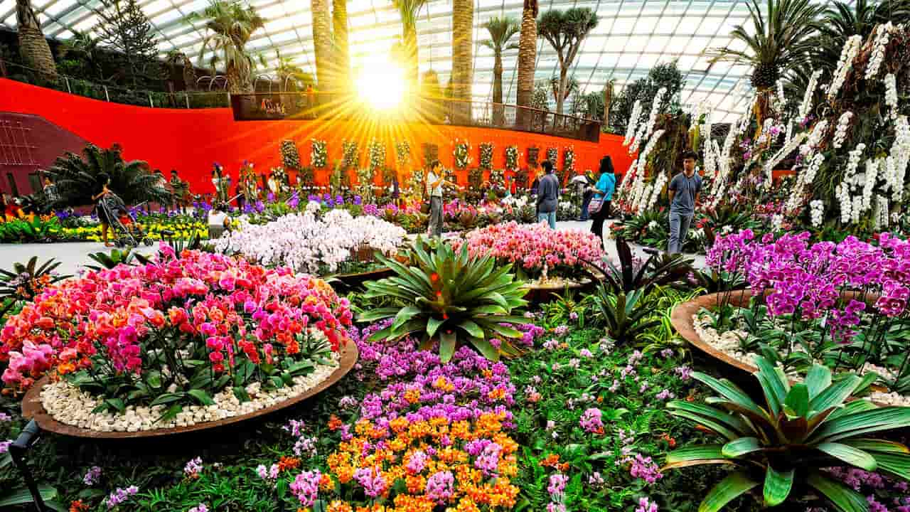 Must-Visit Gardens By The Bay Attractions Flower Dome